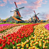 Sprache Niederländisch