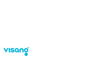 Visang logo