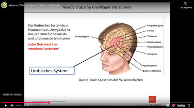 Webinar "Wie wir lernen" - Stifter-helfen.de